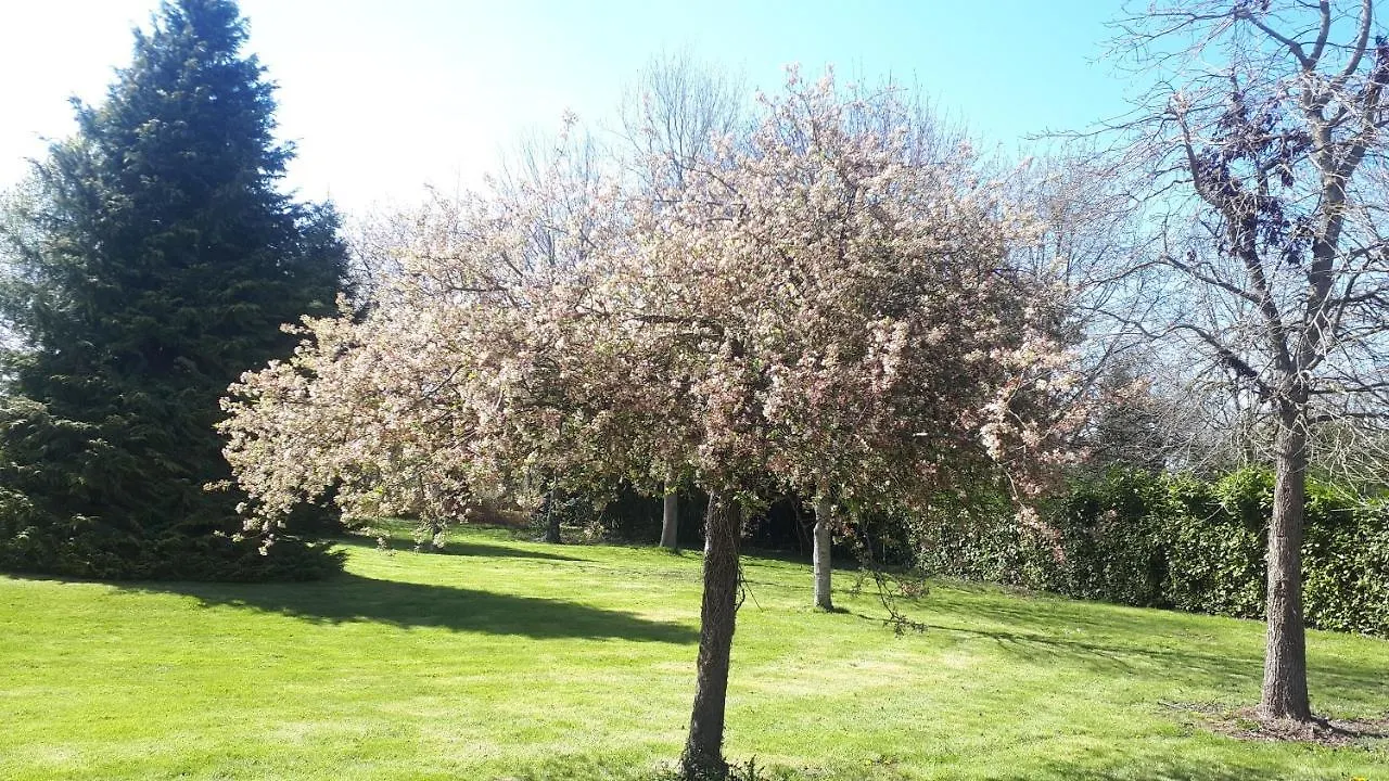 Apartment Gite De Bon Air Sens-de-Bretagne